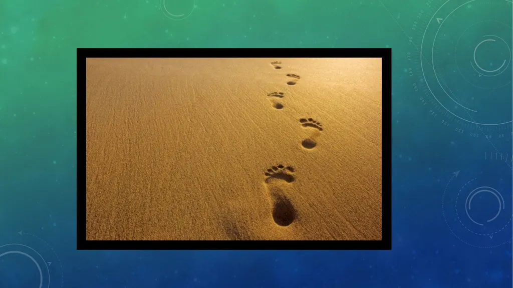 OTHER IMPRESSION EVIDENCES CHAPTER 11 CASTING OF - slide 4 of 8