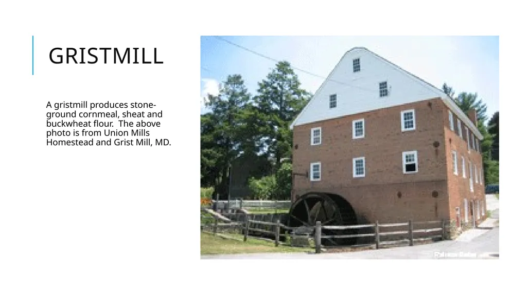 EX-SlAves Surviving and Thriving in Central - slide 5 of 29