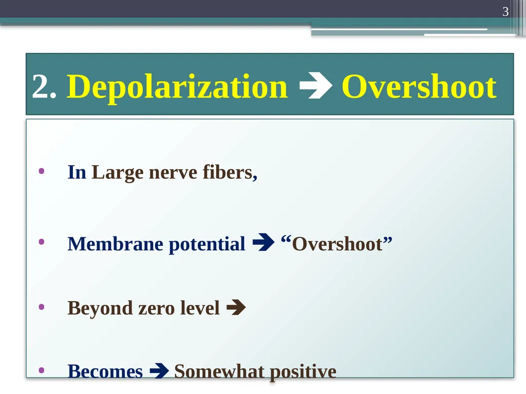 Nerve Action Potential :2 Dr.Viral I. Champaneri, - slide 3 of 63