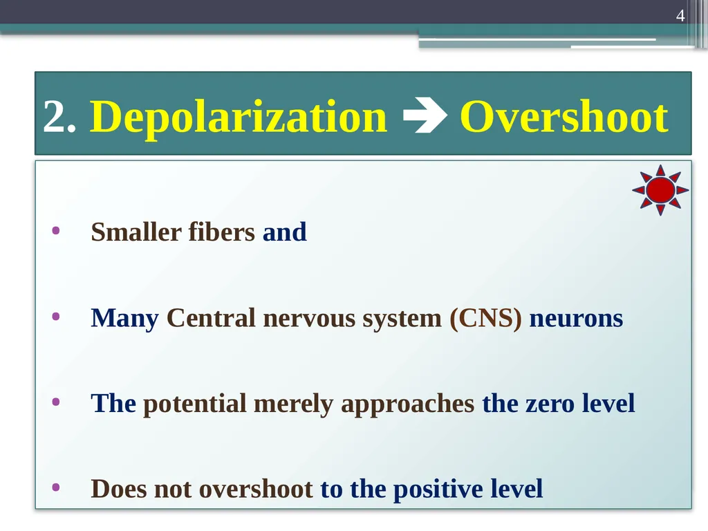 Nerve Action Potential :2 Dr.Viral I. Champaneri, - slide 4 of 63