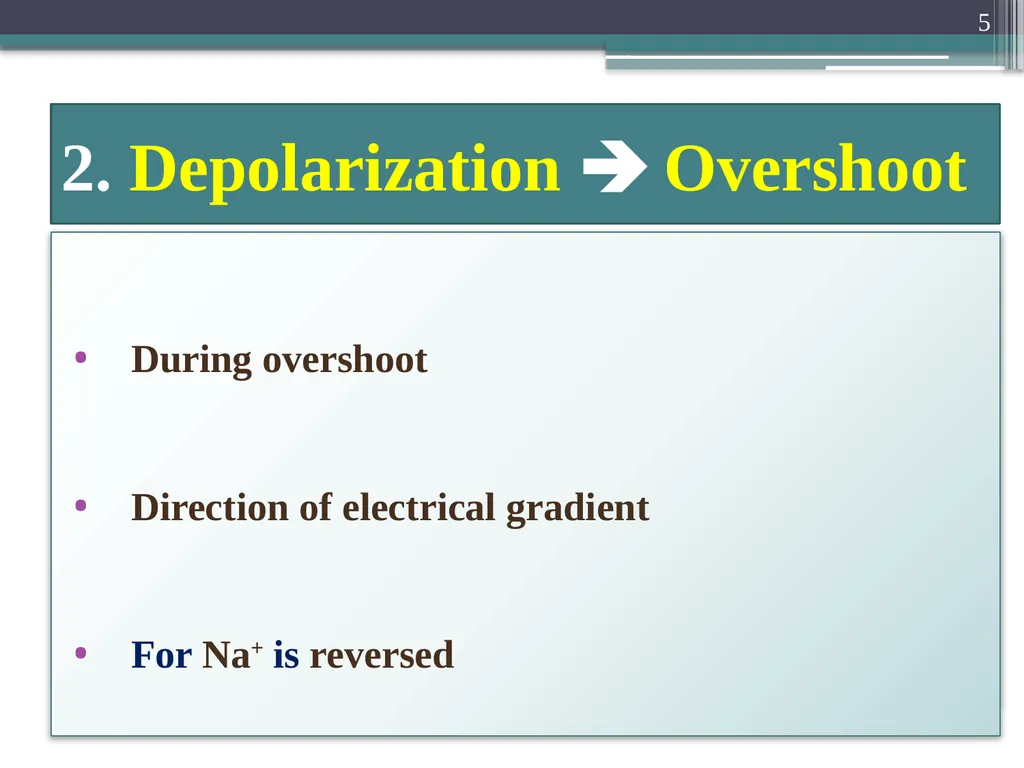 Nerve Action Potential :2 Dr.Viral I. Champaneri, - slide 5 of 63