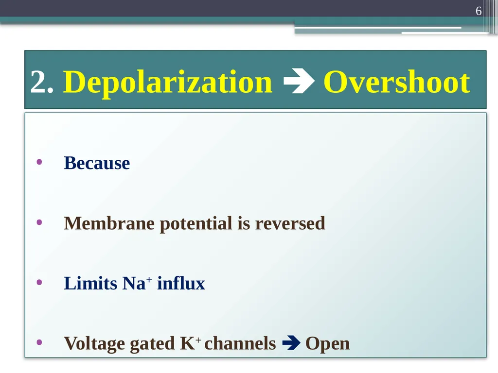 Nerve Action Potential :2 Dr.Viral I. Champaneri, - slide 6 of 63