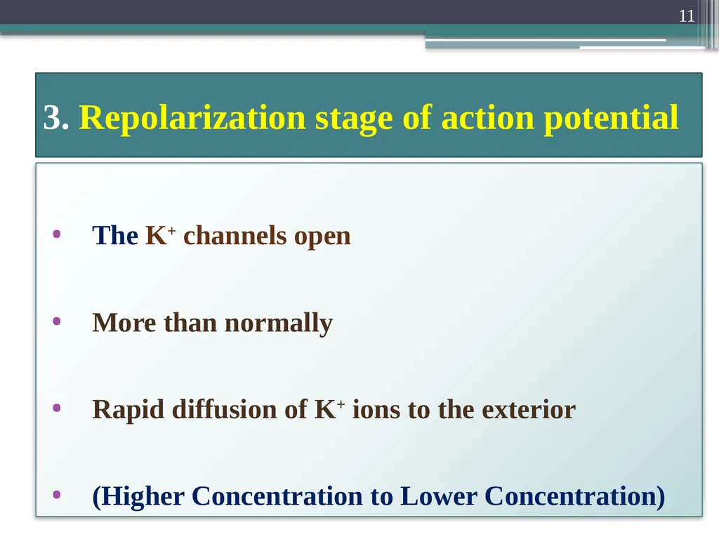 Nerve Action Potential :2 Dr.Viral I. Champaneri, - slide 11 of 63