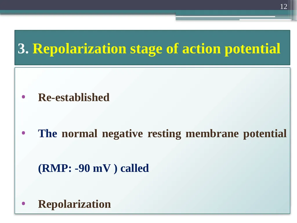 Nerve Action Potential :2 Dr.Viral I. Champaneri, - slide 12 of 63