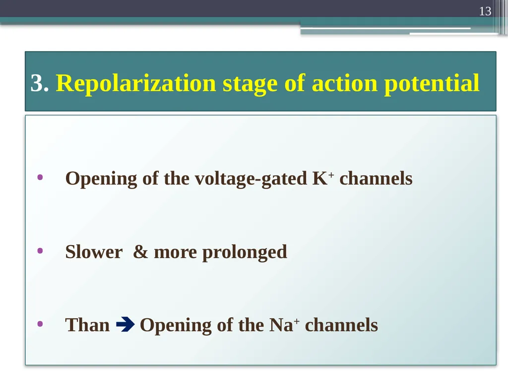 Nerve Action Potential :2 Dr.Viral I. Champaneri, - slide 13 of 63