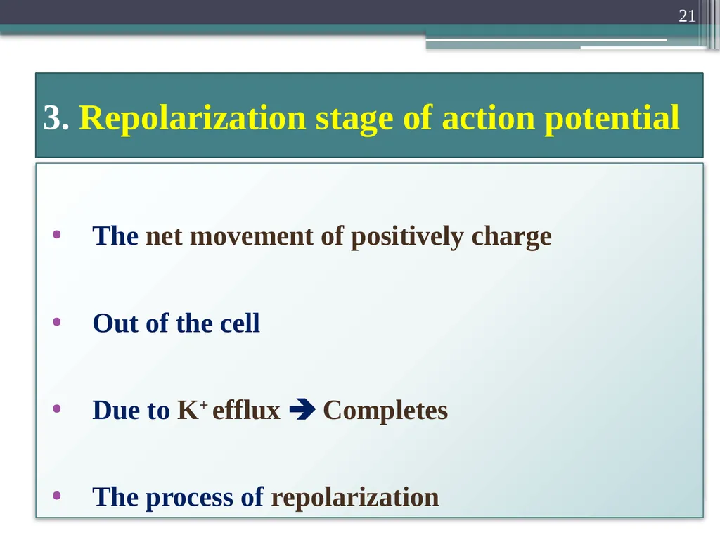 Nerve Action Potential :2 Dr.Viral I. Champaneri, - slide 21 of 63