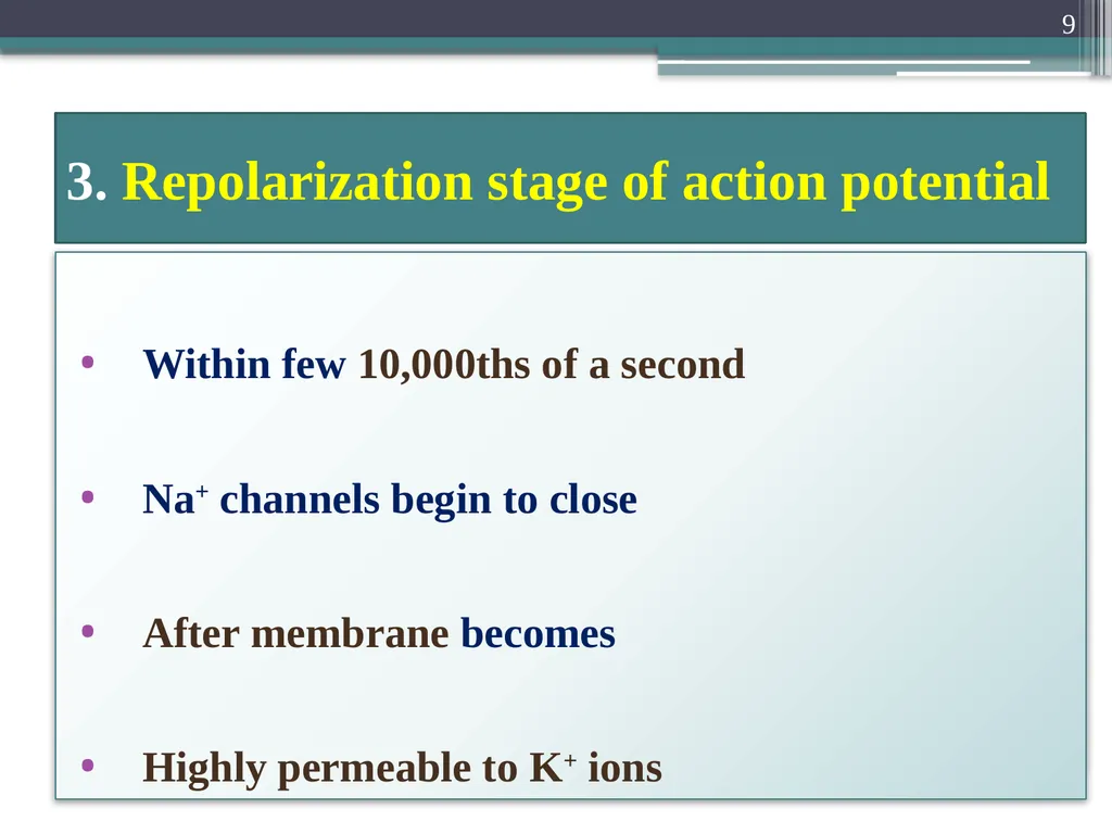 Nerve Action Potential :2 Dr.Viral I. Champaneri, - slide 9 of 63