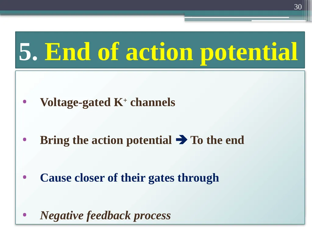 Nerve Action Potential :2 Dr.Viral I. Champaneri, - slide 30 of 63