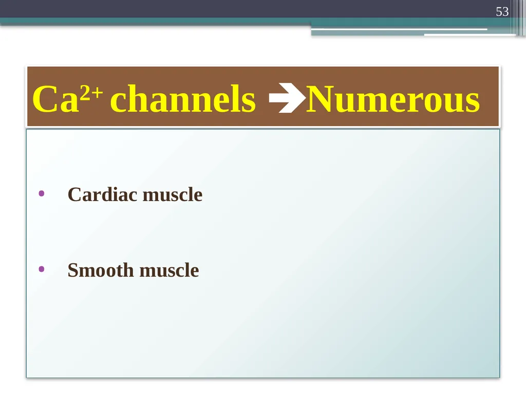 Nerve Action Potential :2 Dr.Viral I. Champaneri, - slide 53 of 63