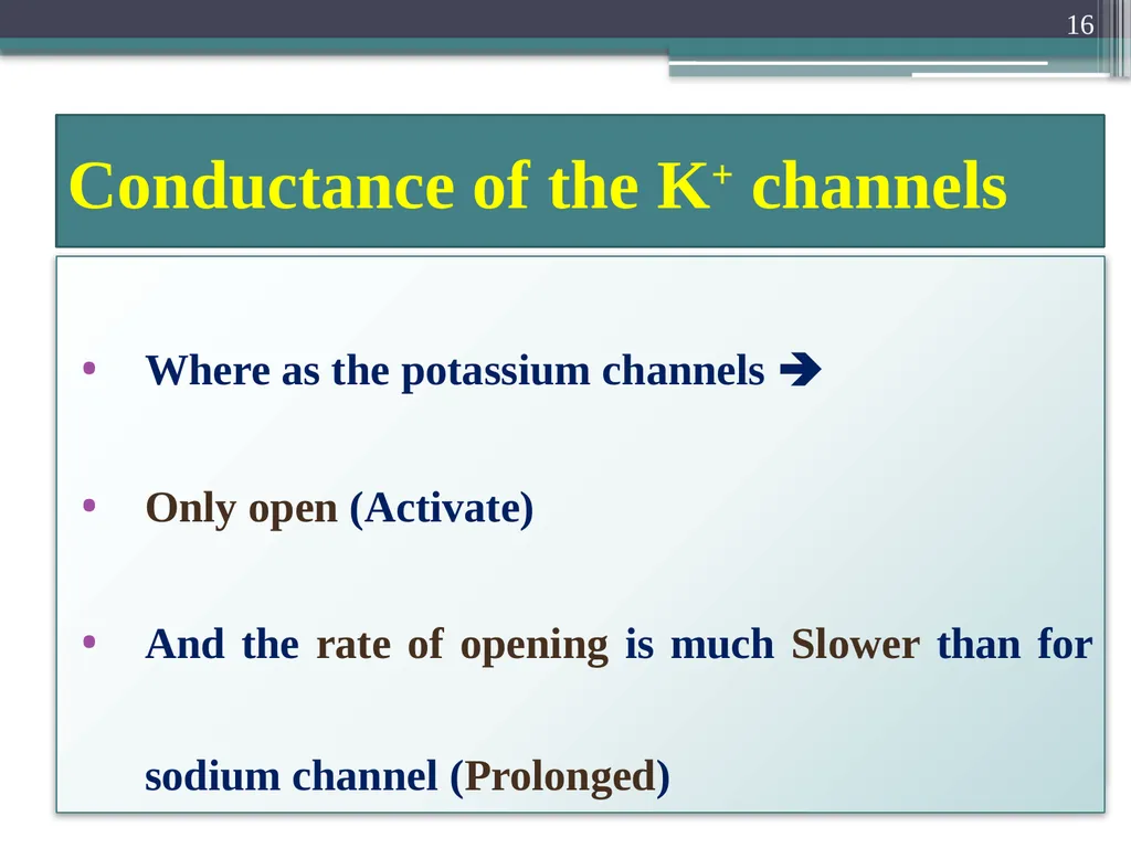 Nerve Action Potential :2 Dr.Viral I. Champaneri, - slide 16 of 63
