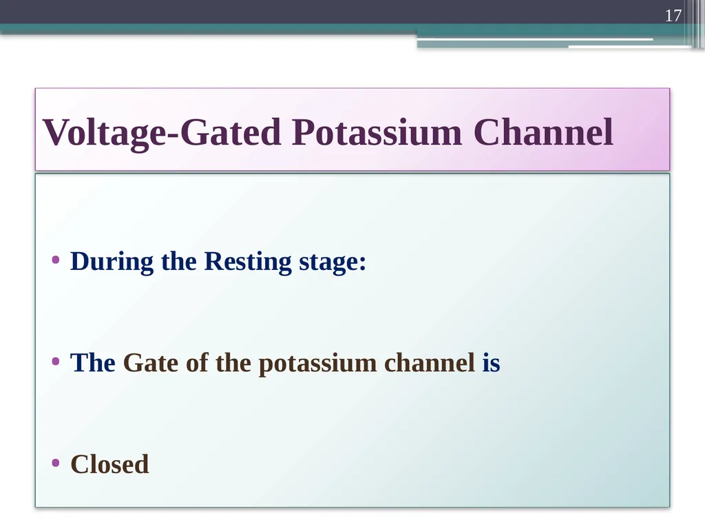Nerve Action Potential :2 Dr.Viral I. Champaneri, - slide 17 of 63