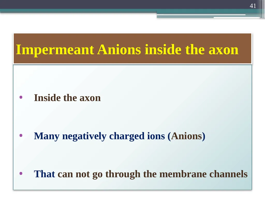 Nerve Action Potential :2 Dr.Viral I. Champaneri, - slide 41 of 63