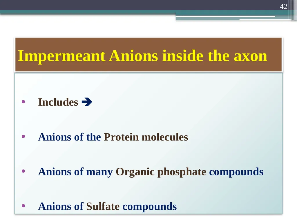 Nerve Action Potential :2 Dr.Viral I. Champaneri, - slide 42 of 63