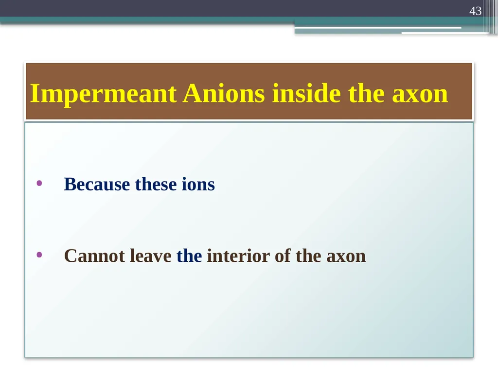 Nerve Action Potential :2 Dr.Viral I. Champaneri, - slide 43 of 63