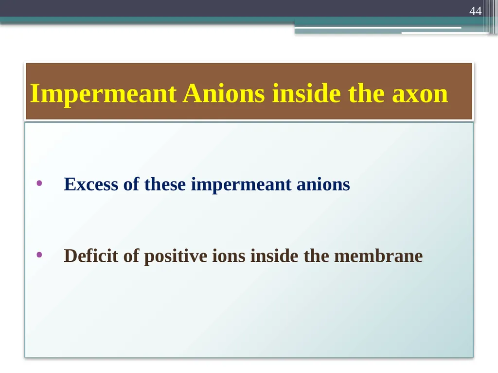 Nerve Action Potential :2 Dr.Viral I. Champaneri, - slide 44 of 63