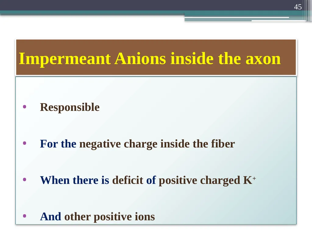 Nerve Action Potential :2 Dr.Viral I. Champaneri, - slide 45 of 63