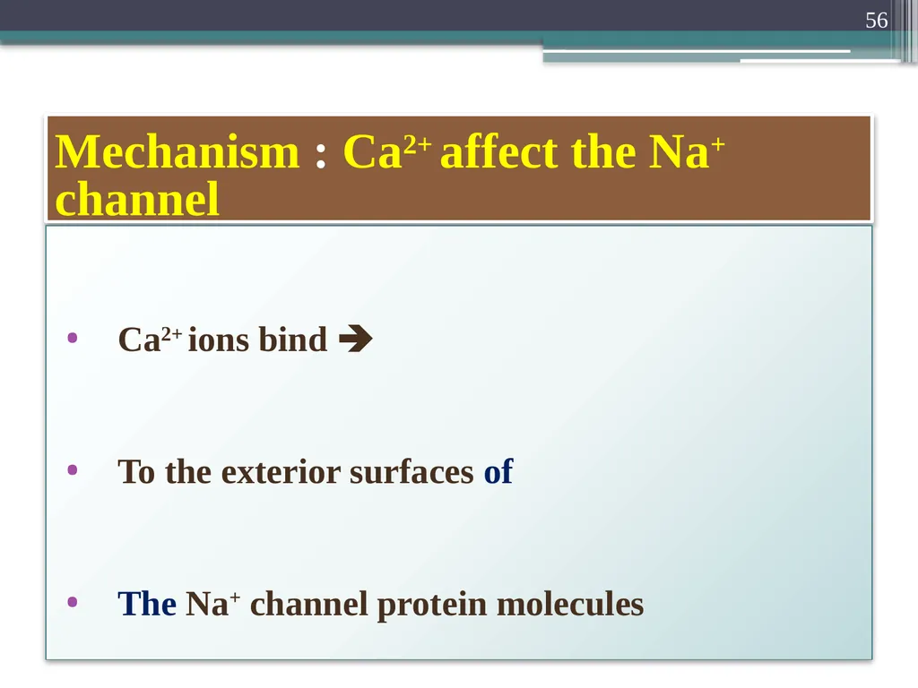 Nerve Action Potential :2 Dr.Viral I. Champaneri, - slide 56 of 63