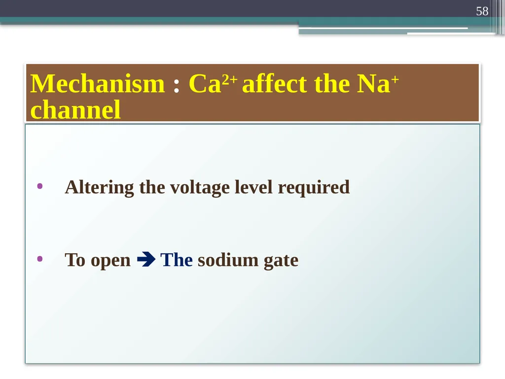 Nerve Action Potential :2 Dr.Viral I. Champaneri, - slide 58 of 63