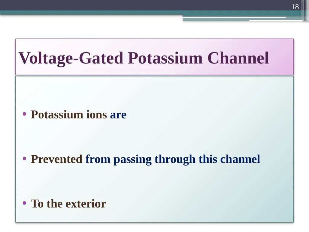 Nerve Action Potential :2 Dr.Viral I. Champaneri, - slide 18 of 63