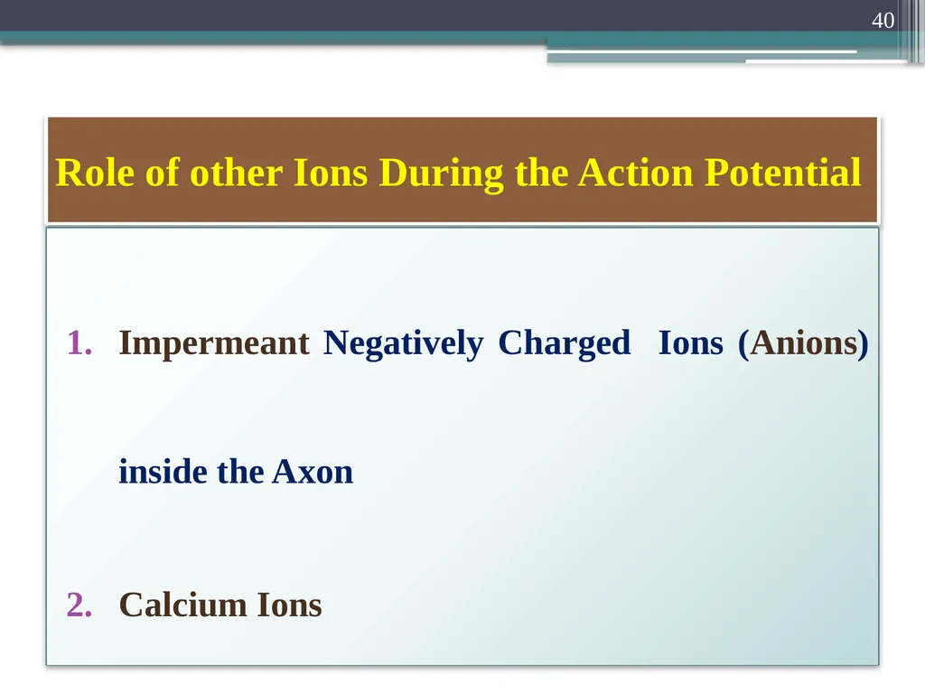 Nerve Action Potential :2 Dr.Viral I. Champaneri, - slide 40 of 63