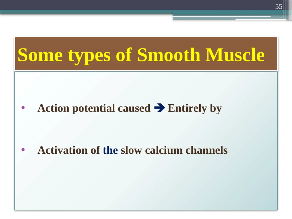 Nerve Action Potential :2 Dr.Viral I. Champaneri, - slide 55 of 63