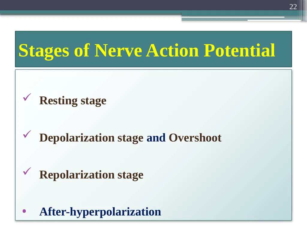 Nerve Action Potential :2 Dr.Viral I. Champaneri, - slide 22 of 63