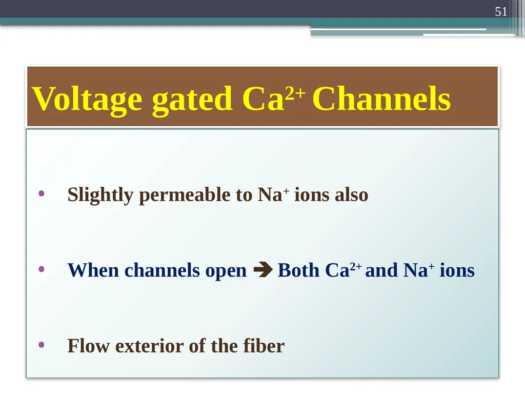 Nerve Action Potential :2 Dr.Viral I. Champaneri, - slide 51 of 63