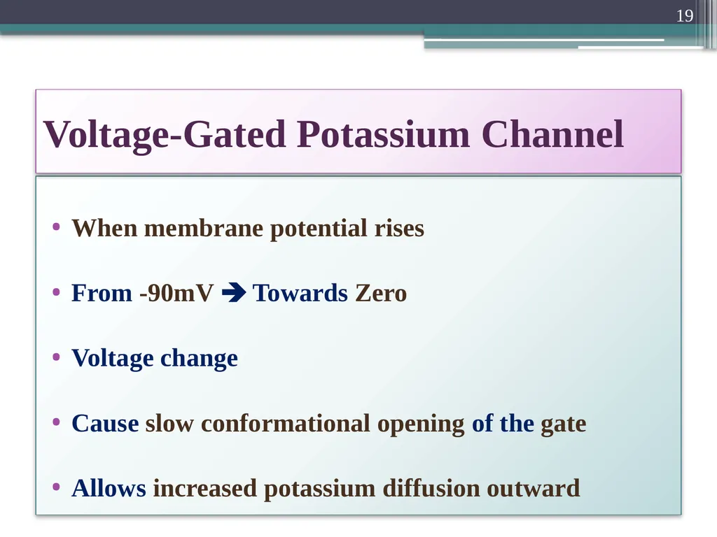 Nerve Action Potential :2 Dr.Viral I. Champaneri, - slide 19 of 63