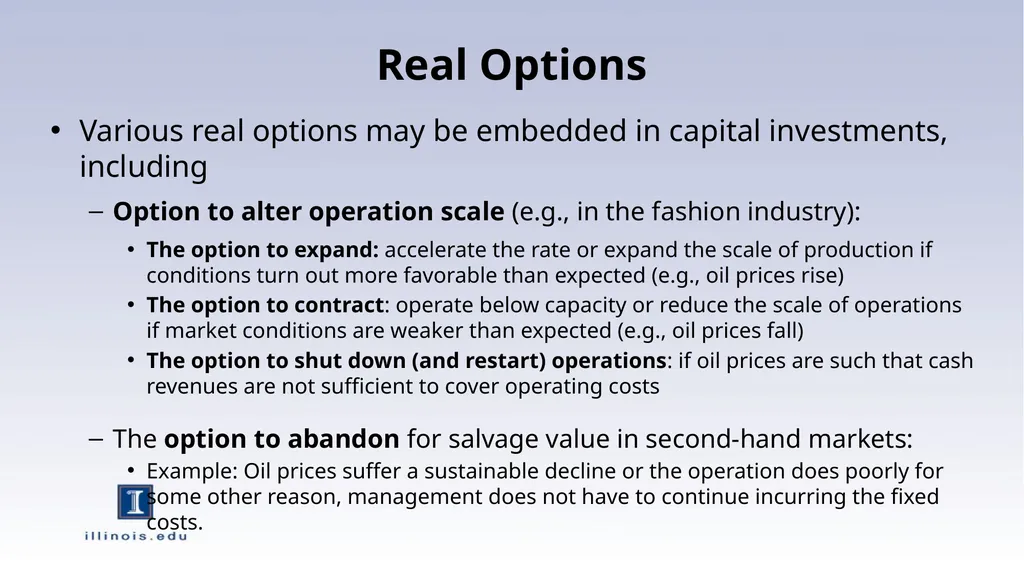 Real Options and Interactions with Financial - slide 6 of 11