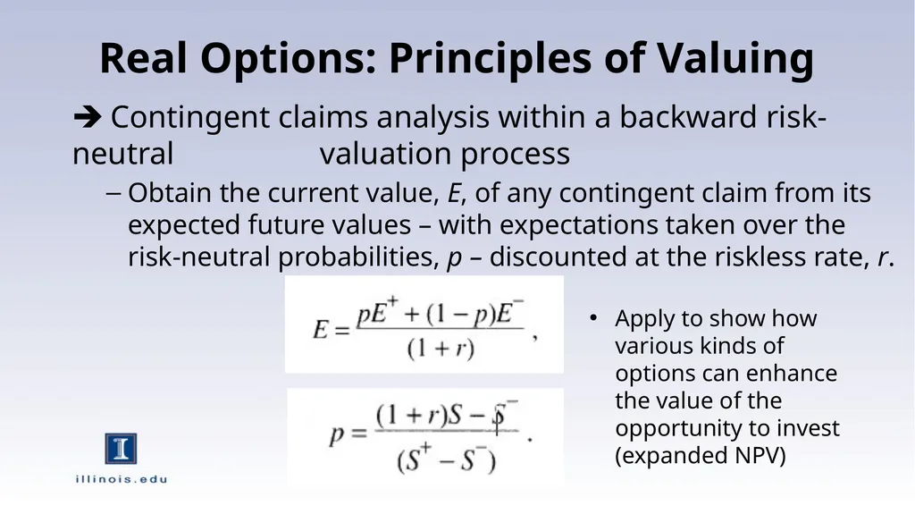 Real Options and Interactions with Financial - slide 9 of 11