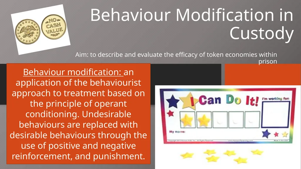 Behaviour Modification in Custody Aim: to describe - slide 1 of 19