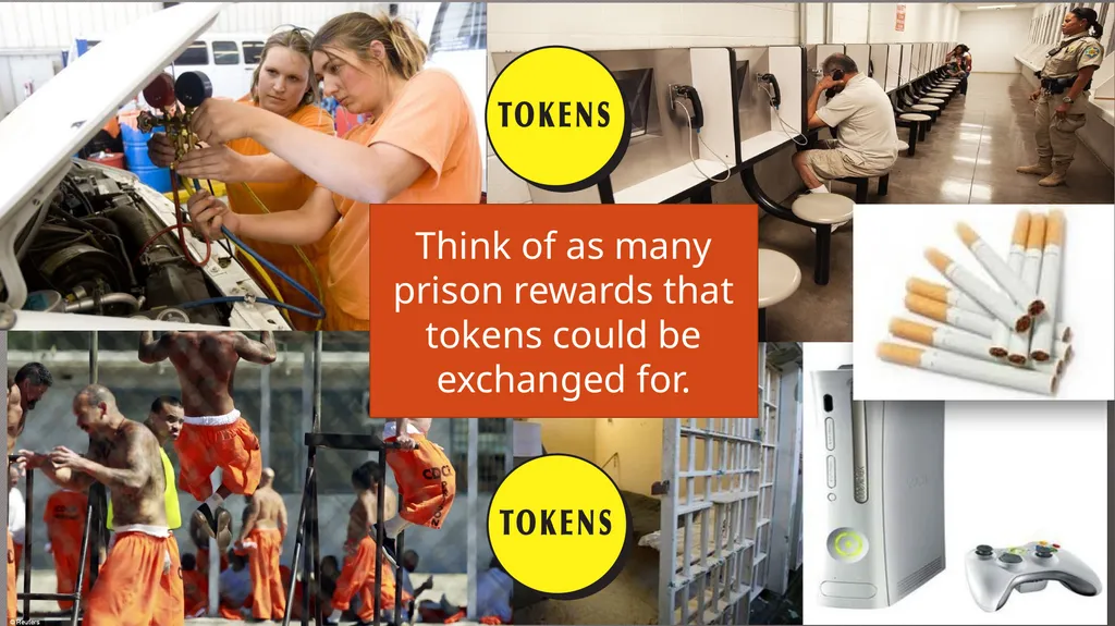 Behaviour Modification in Custody Aim: to describe - slide 5 of 19