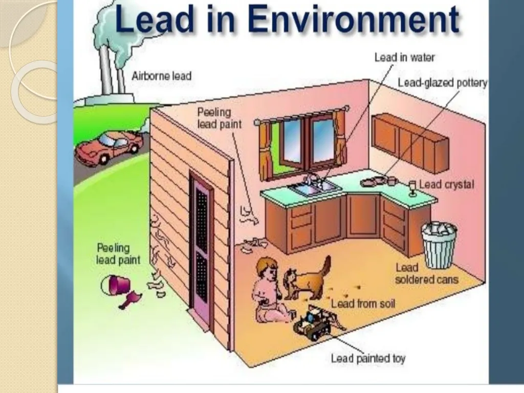 Heavy Metal Toxicity (Lead) Presented by:- - slide 5 of 14