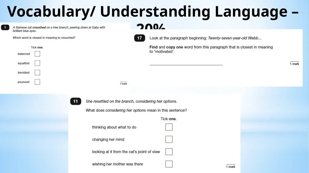 Welcome to our Y6 SATs Information Evening! 1) - slide 7 of 25