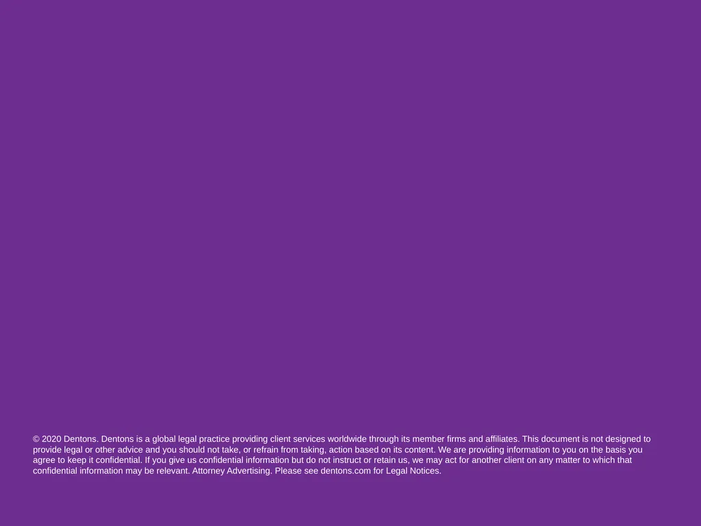 Dentons Pro Bono Practice Working with EAPN and - slide 8 of 8
