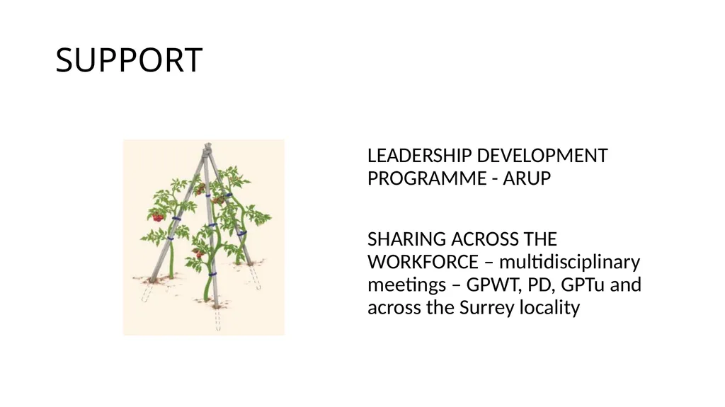 GROWING THE NEXT GENERATION SEED CEPN seed from - slide 4 of 6
