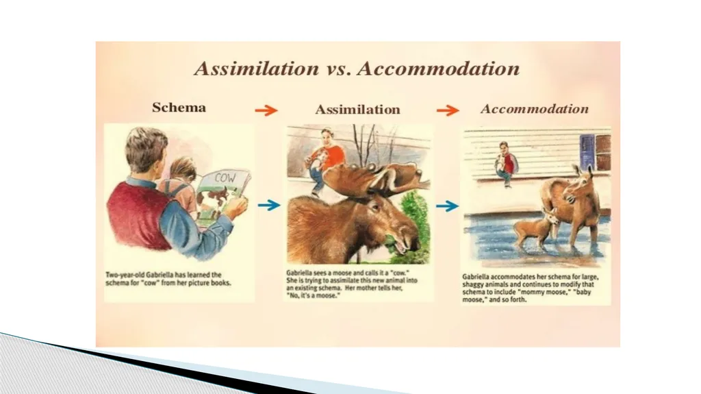 Piaget’s Theory of Cognitive Development Presented - slide 10 of 21