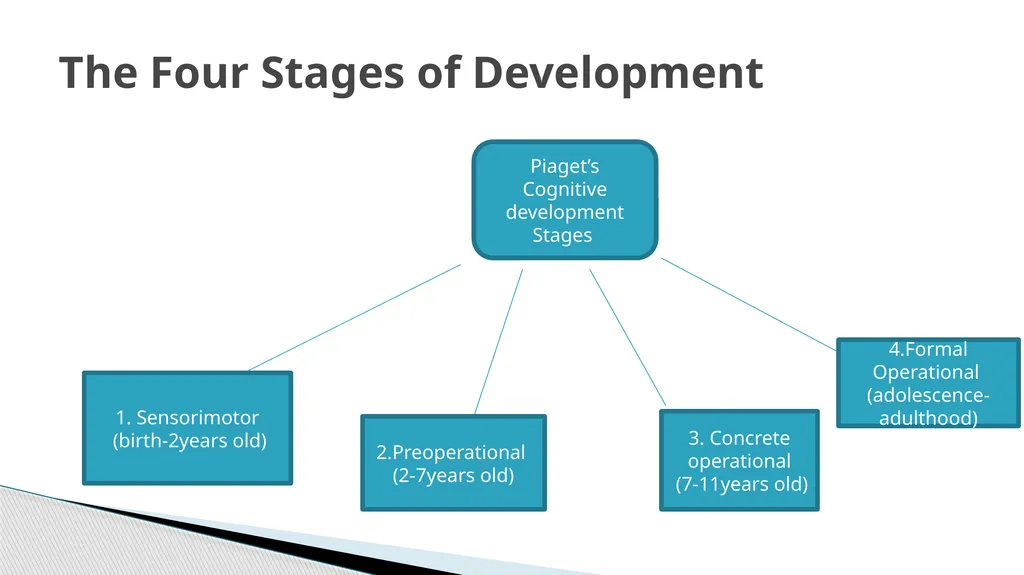 Piaget’s Theory of Cognitive Development Presented - slide 12 of 21