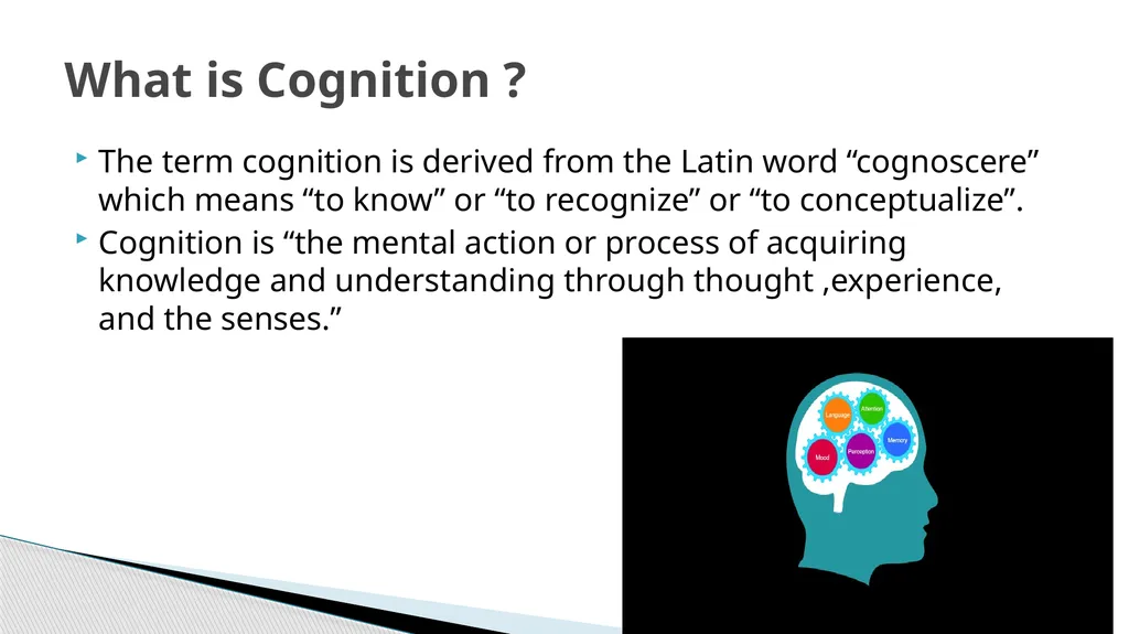 Piaget’s Theory of Cognitive Development Presented - slide 4 of 21