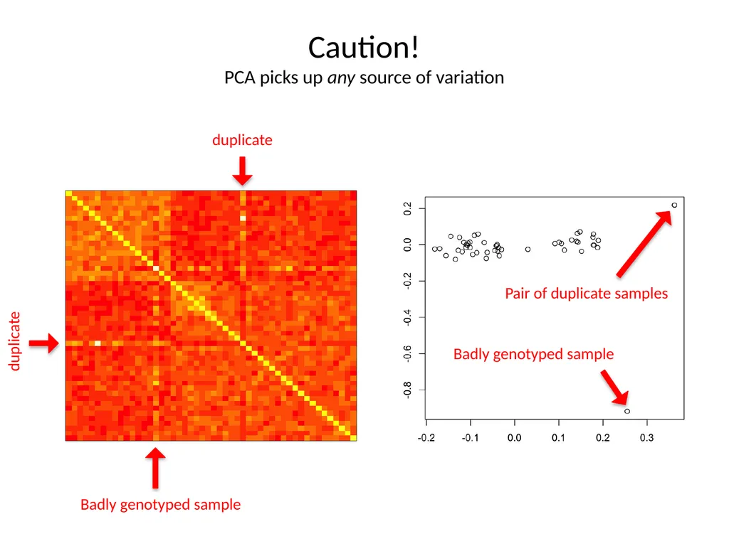 Principal components analysis Gavin Band Why do - slide 9 of 20