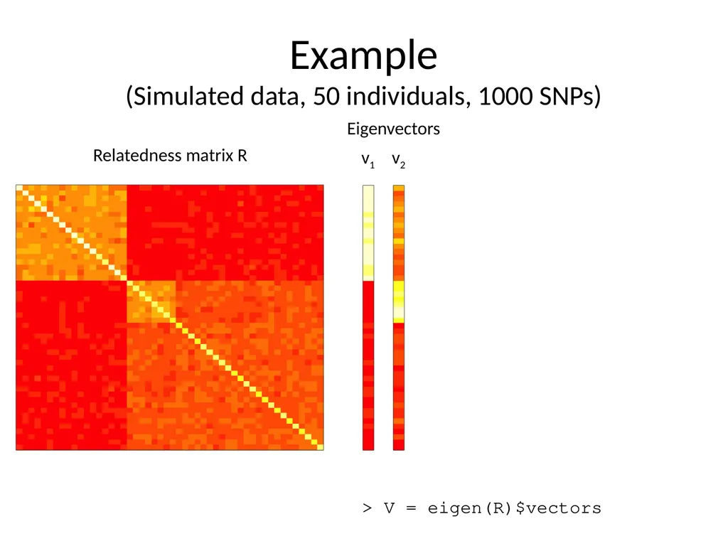 Principal components analysis Gavin Band Why do - slide 7 of 20