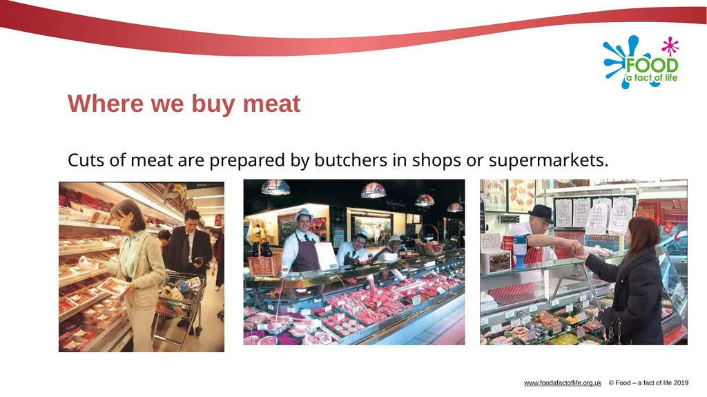Meat types and cuts Meat Animals are reared by - slide 5 of 10