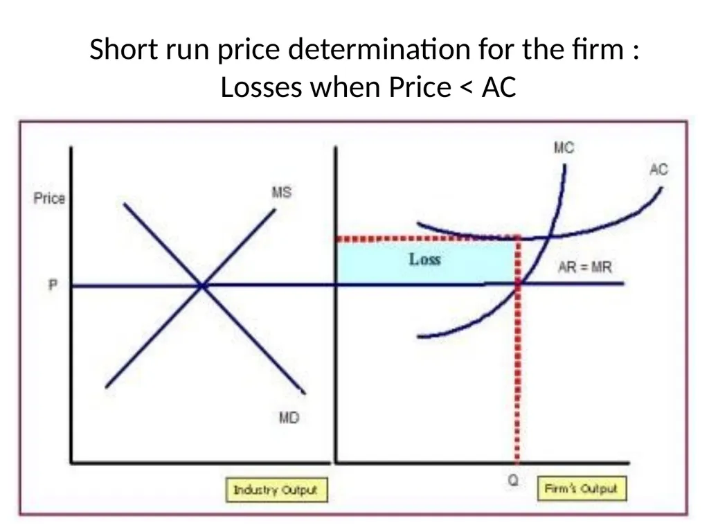 Unit 4 : Market Structures Prof Prasanna Shembekar - slide 10 of 38
