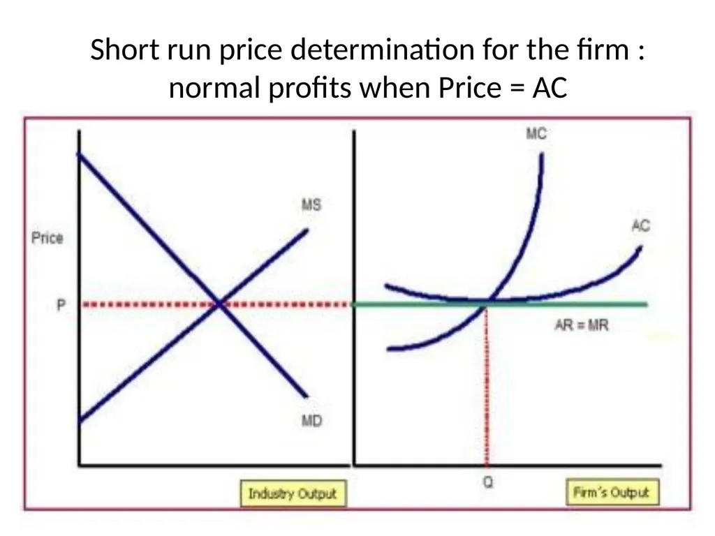 Unit 4 : Market Structures Prof Prasanna Shembekar - slide 9 of 38