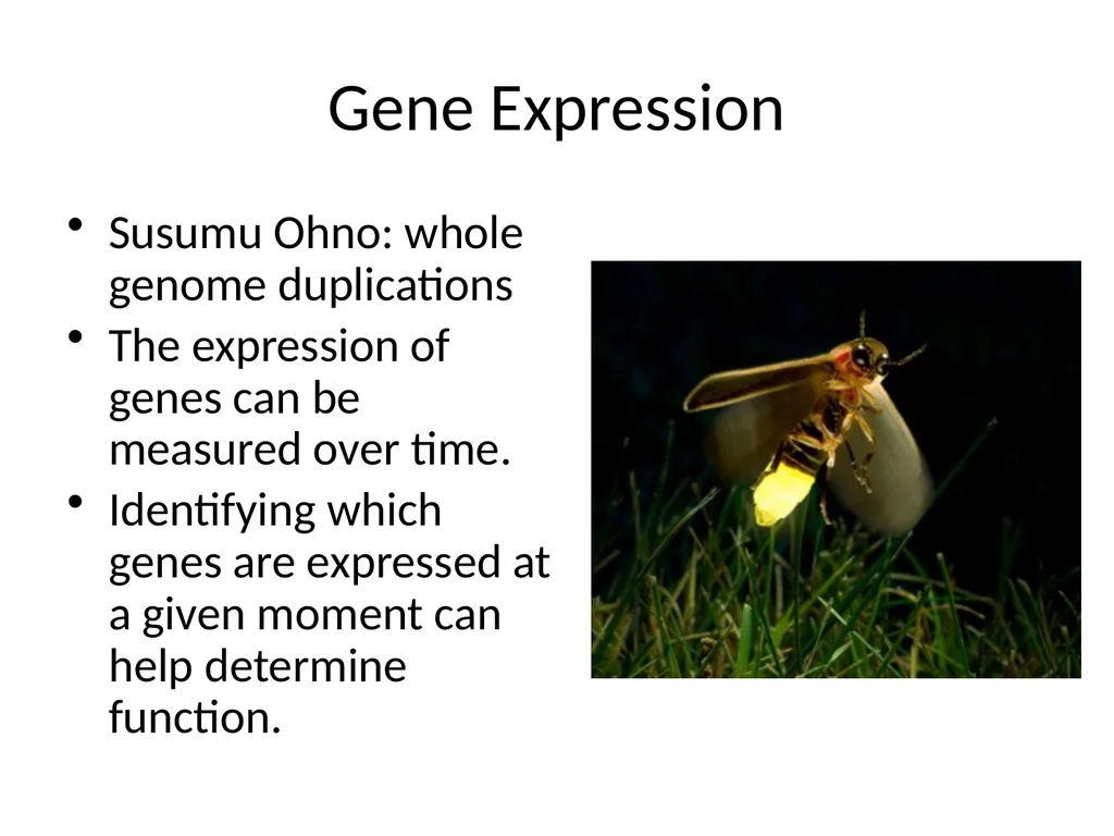 Lloyd Algorithm K-Means Clustering Gene Expression - slide 2 of 9