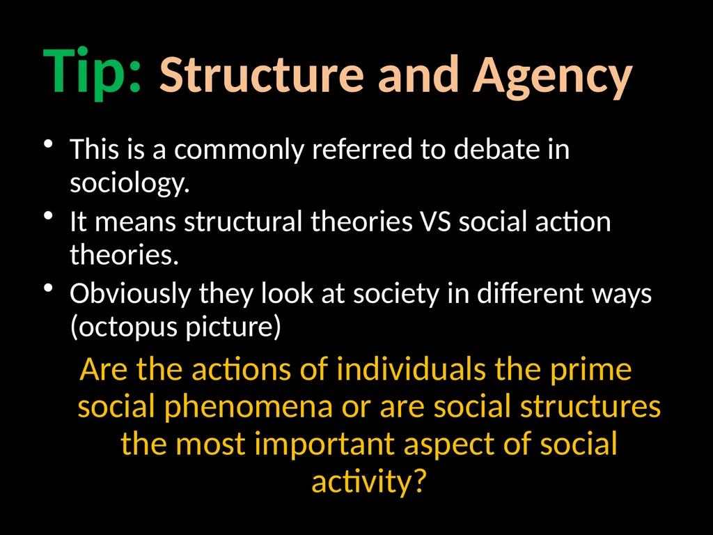 Interpretivism Structure Vs Action Interactionism: - slide 27 of 77