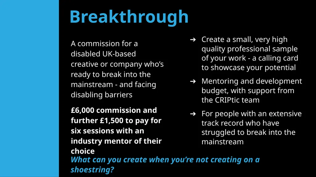 CRIPtic 2024 CRIPtic Arts 2025 Artist Q&A Plan - slide 7 of 18