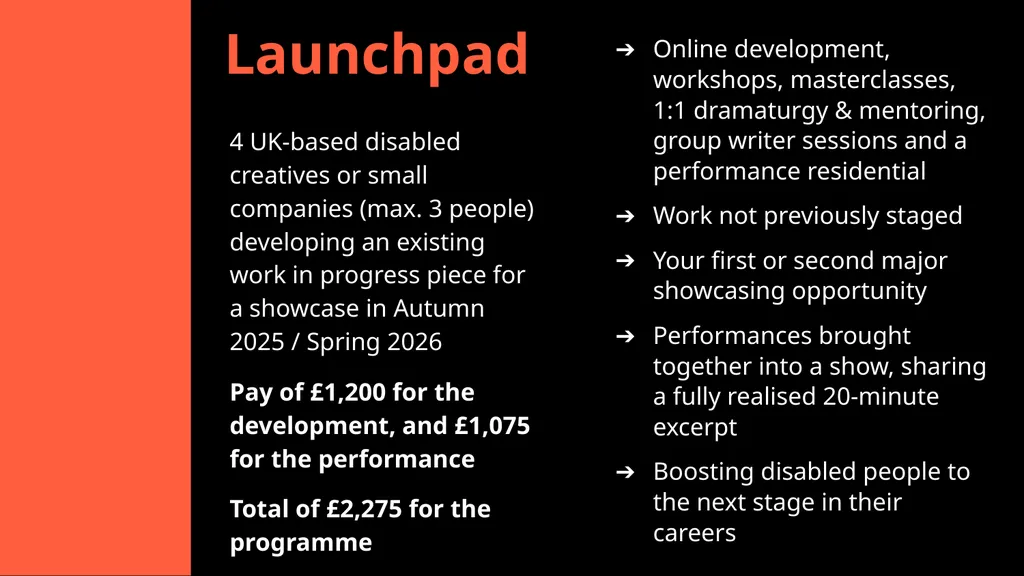 CRIPtic 2024 CRIPtic Arts 2025 Artist Q&A Plan - slide 6 of 18