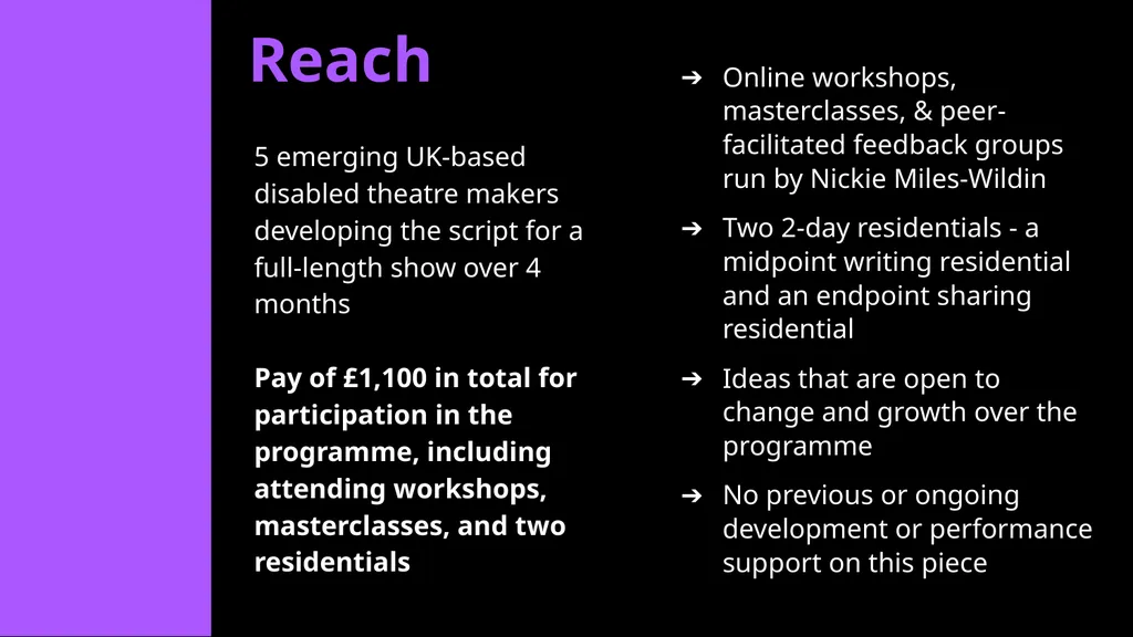 CRIPtic 2024 CRIPtic Arts 2025 Artist Q&A Plan - slide 5 of 18