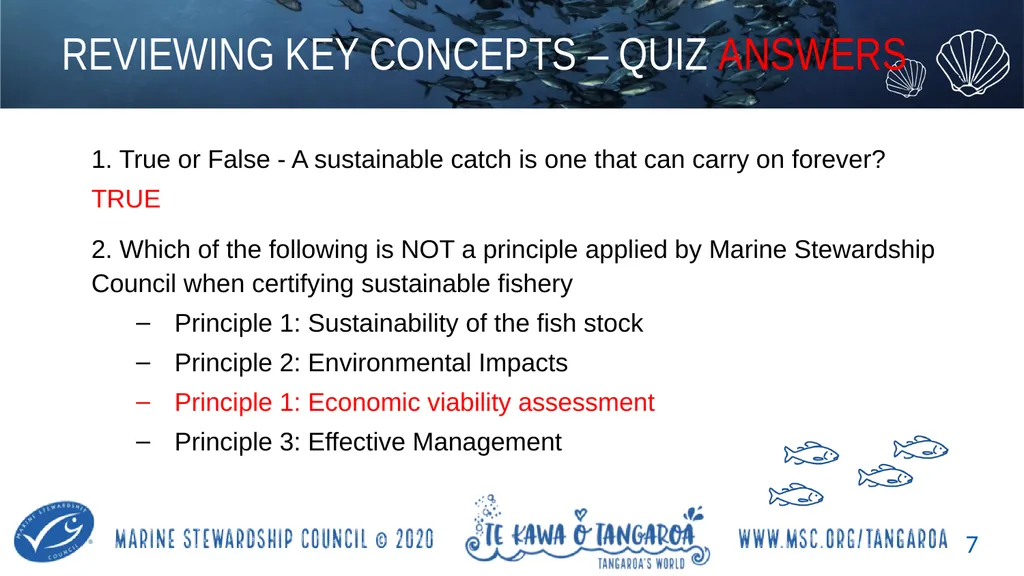 MAHI / ACTIVITY In small groups, create your own - slide 7 of 11